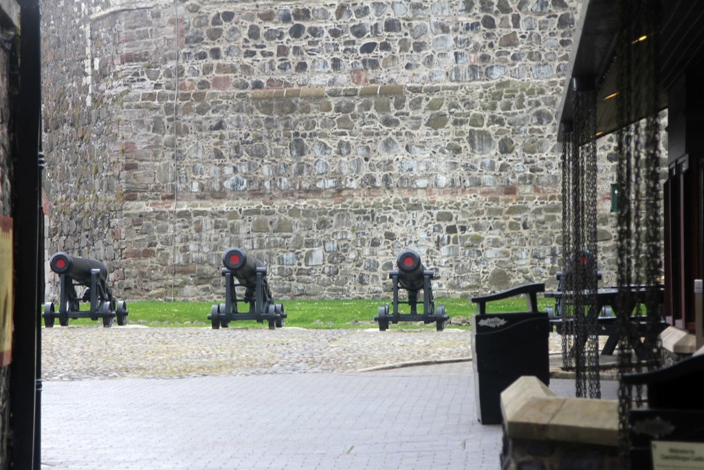 Cannons Inside Entrance